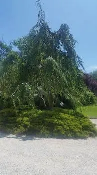 Verdemilia Hotel Anzola dell'Emilia 3*,  Italy